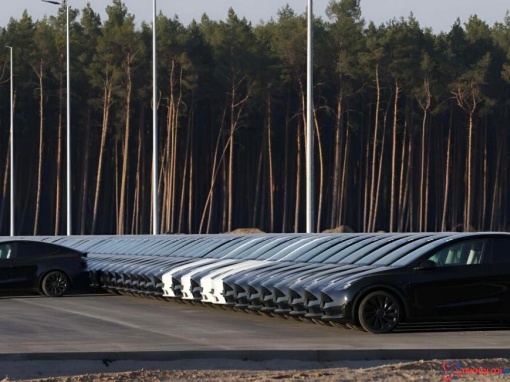 300 Tesla Otomobili ve Bir Otopark Hikayesi