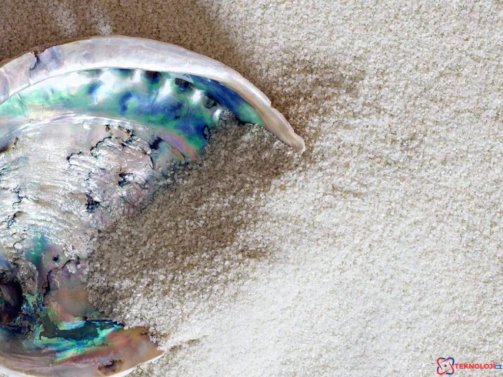 Uygulama ve Potansiyel