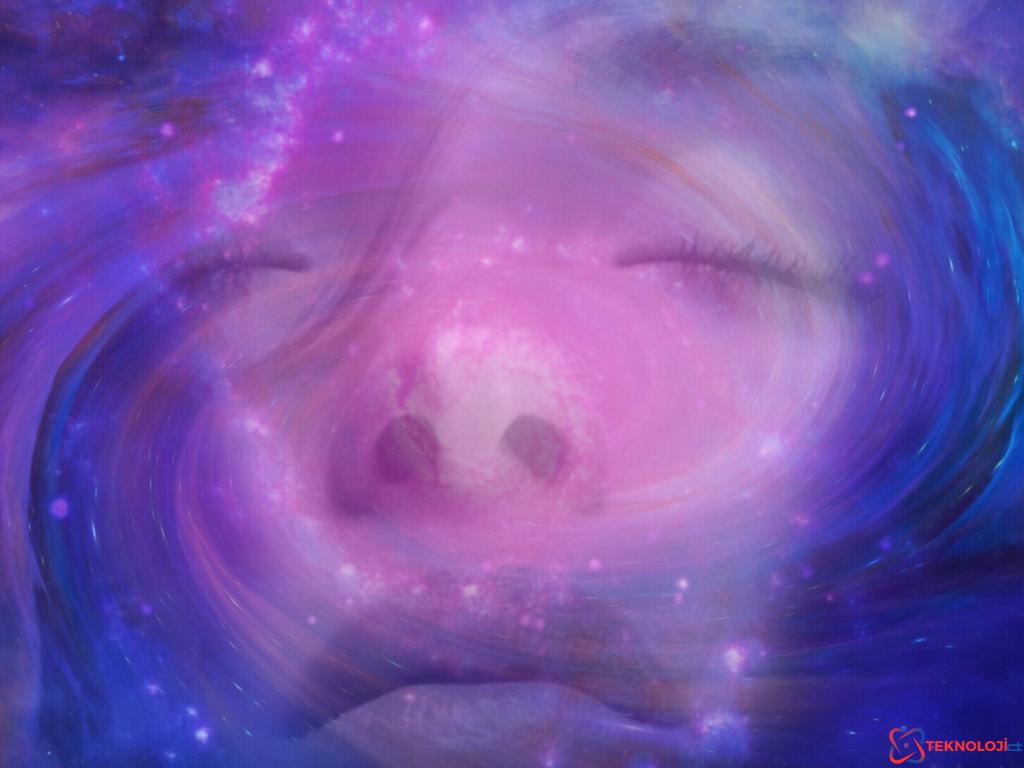 Uzay Kokusu: Uzayın Gizemli Dünyasında Bir Deneyim