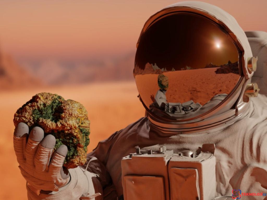 MediaTek Dimensity 7400X ve Dimensity 7400 Arasındaki Farklar